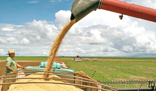 Cade aprova no Brasil negócio mundial da compra da Monsanto pela Bayer