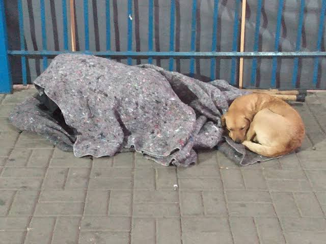 ZONA SUL: Morador de rua é atacado a pauladas enquanto dormia em calçada 