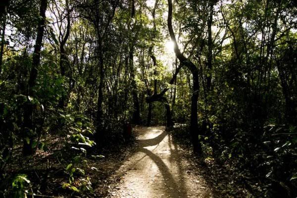 QUADRILHA ARMADA: Família rendida em casa é levada para matagal durante roubo de Ecosport 