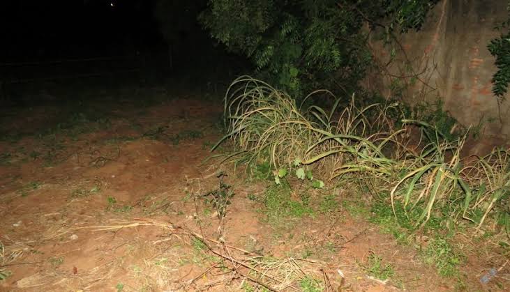 MANÍACO: Homem sai de matagal pelado e tenta estuprar mulher em terreno baldio