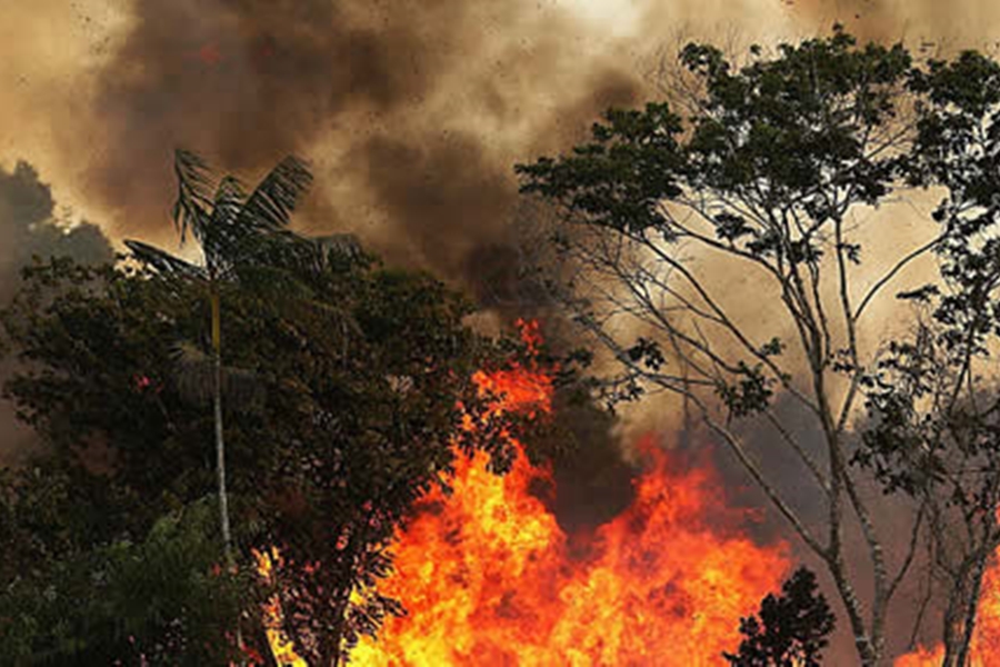 2024: Incêndios tiveram alta de 64% em florestas públicas não destinadas da Amazônia