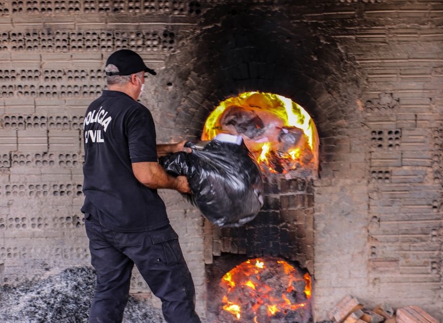  INCINERAÇÃO: Denarc incinera mais de 800 quilos de entorpecentes em Porto Velho