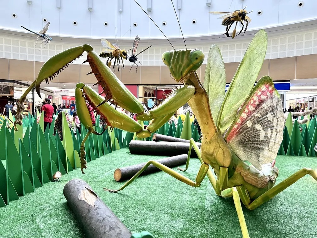 GRATUITO:  PVH Shopping recebe exposição de insetos gigantes a partir do dia 10 deste mês