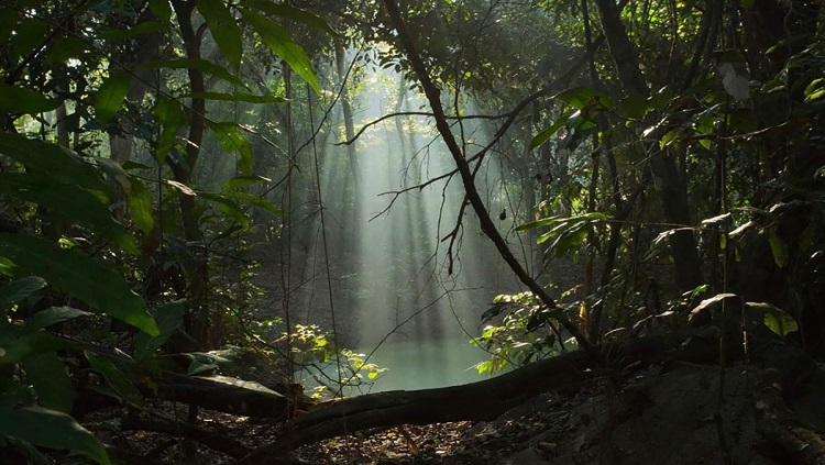 INDÍGENAS: Karitianas apresentam o Festival Chicha, sagrado ritual de purificação da comunidade