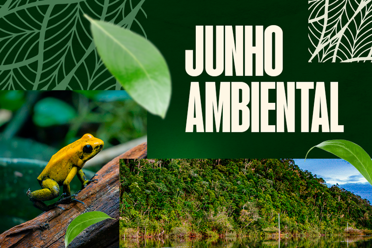 JUNHO AMBIENTAL: MPF pede suspensão de garimpos com uso de mercúrio em Rondônia
