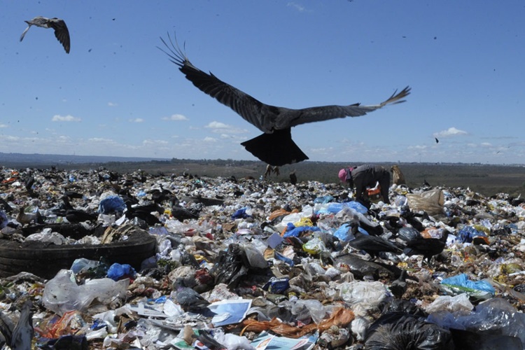 LIXÕES: Ministério do Meio Ambiente abre consulta pública sobre plano para resíduos sólidos