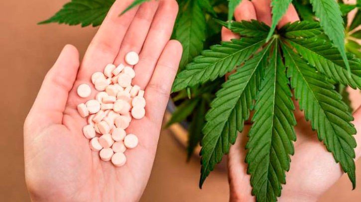 SAÚDE: Reino Unido anuncia liberação do uso medicinal da maconha