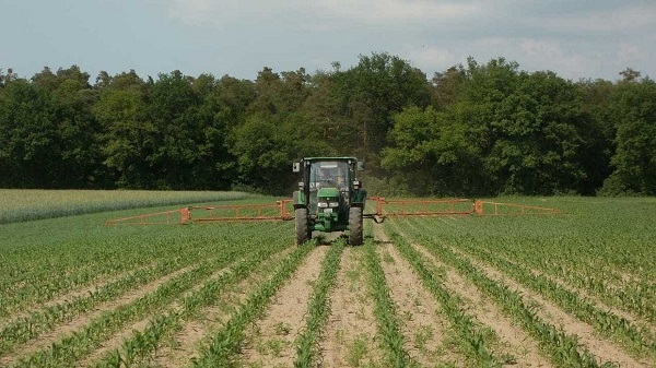 Exportações no agronegócio crescem 4,1% em março