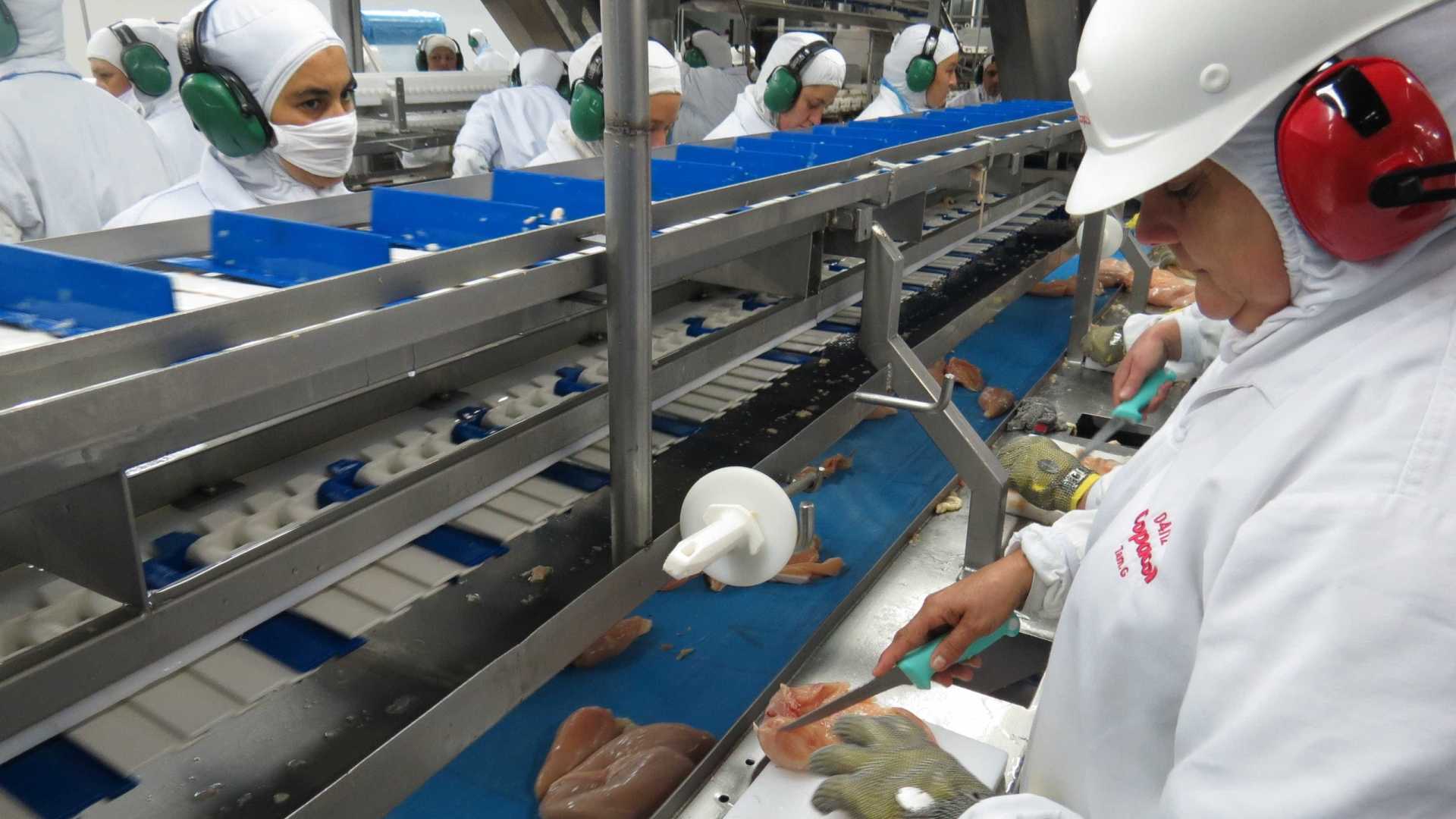 Preço do frango no Brasil deve cair com embargo a exportações