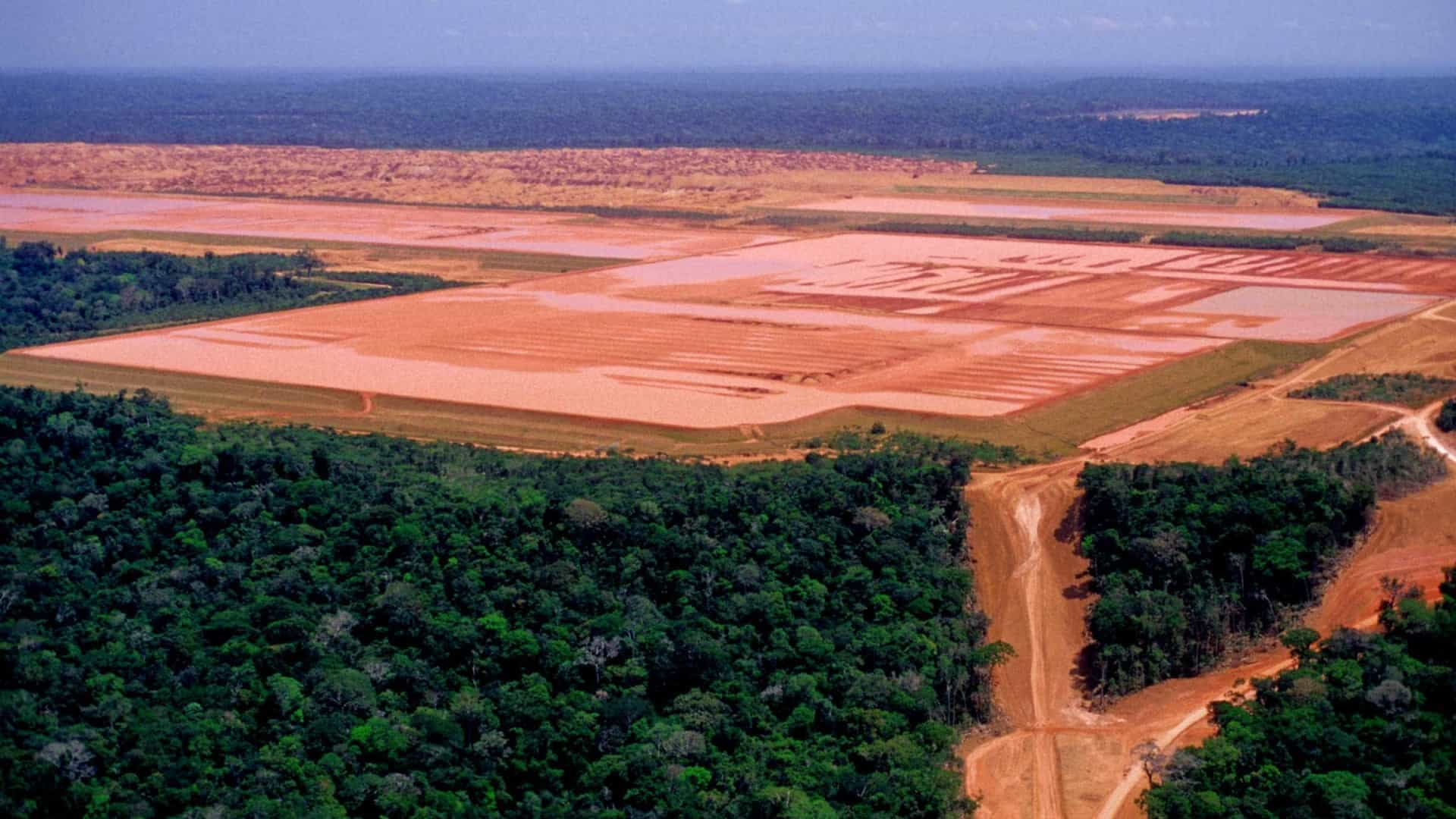 ESTRADAS E PORTOS: Área de parque florestal de RO deverá ser reduzida pelo Governo Federal