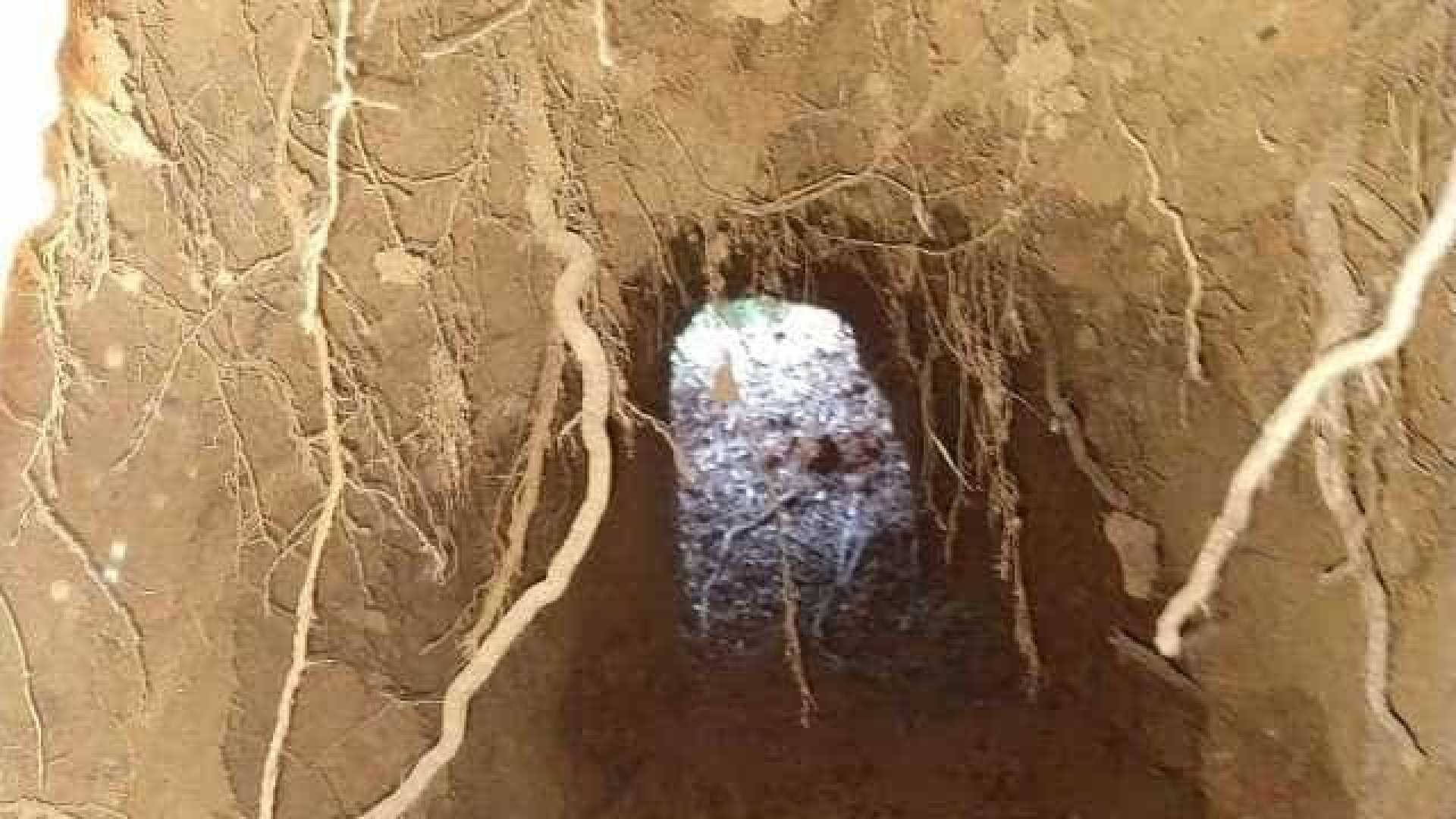 PATRULHAMENTO: Exército localiza túnel cavado por criminosos na zona sul