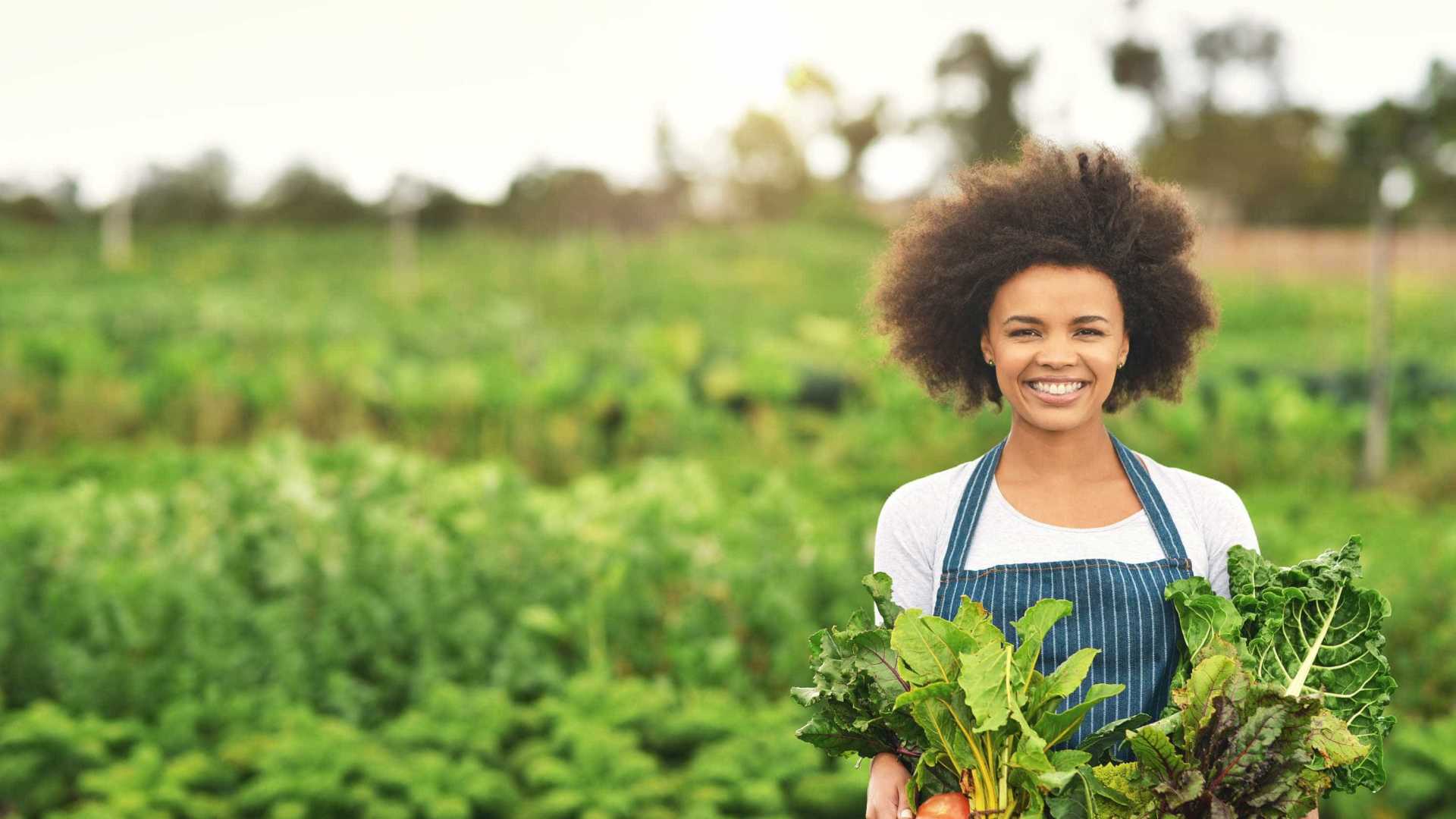 PREVENÇÃO: Consumir alimentos orgânicos reduz risco de câncer