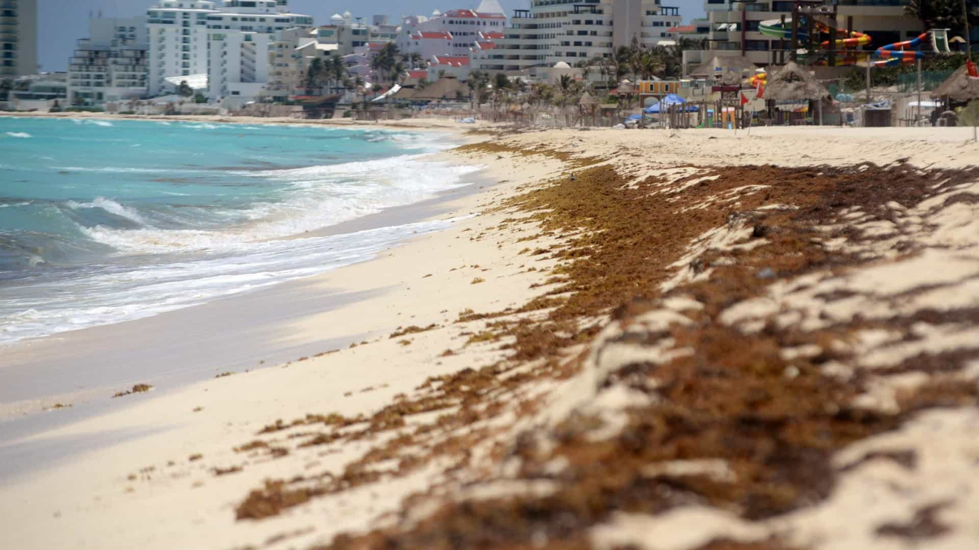 CRISE: Cancún estará oferecendo estadias gratuitas para atrair turistas