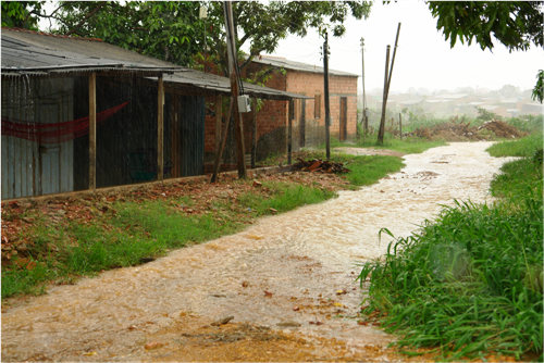 Moradores do bairro Nova Floresta reclamam da falta de infra-estrutura e descaso da administração municipal - Confira fotos