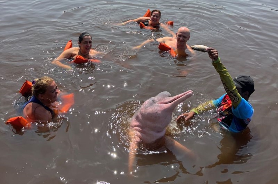 TURISMO NACIONAL: Conheça opções de passeios para fazer em Manaus