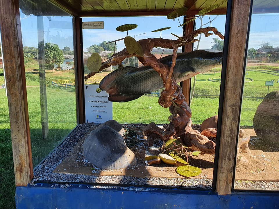 FALTA DE EDUCAÇÃO: Ecoparque entregue na zona Sul é depredado por vândalos