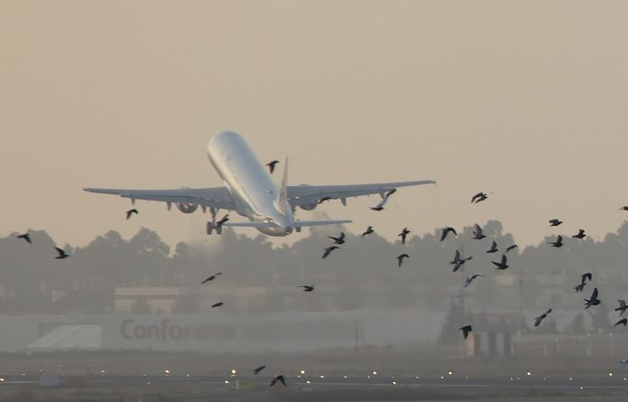 AEROPORTO DE PORTO VELHO: Pássaros põem em risco pouso e decolagem