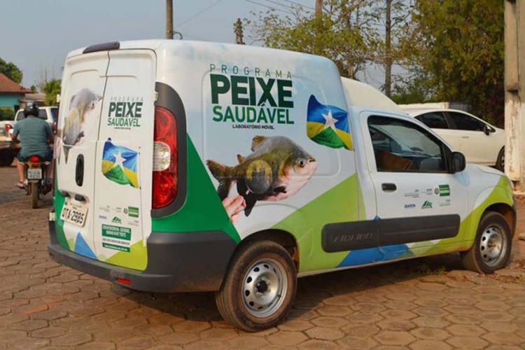 PEIXE SAUDÁVEL: Técnicos da Emater e piscicultores recebem capacitação