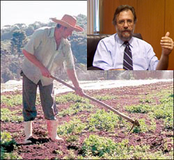 Feira agricultura familiar de Rondônia inicia nesta quinta