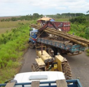 Br 319 é bloqueada entre Humaitá e Porto Velho