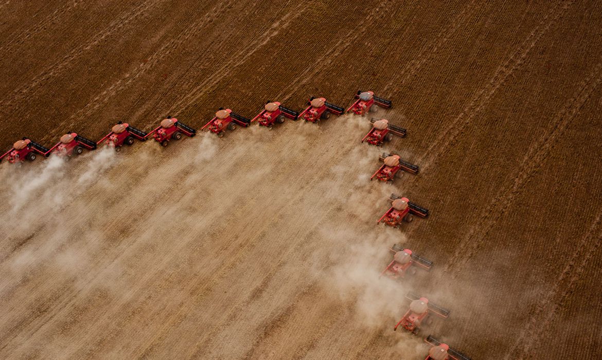 CAMPO: IBGE diz que safra de 2021 deve superar recorde de 2020