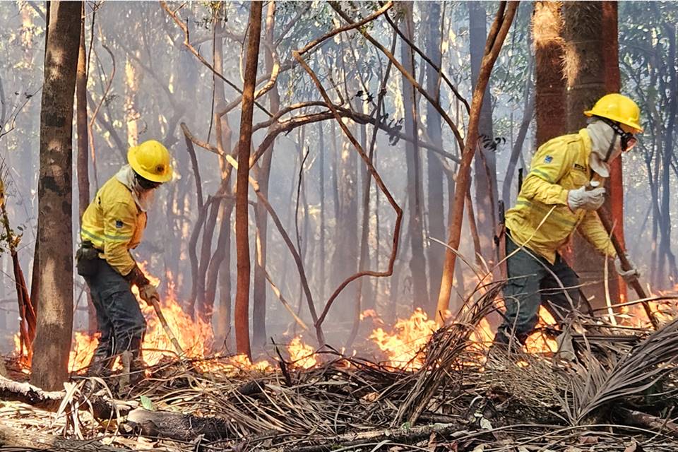 QUEIMA SEM PARAR: Incendiários não respeitam Decreto e fogo continua em Rondônia