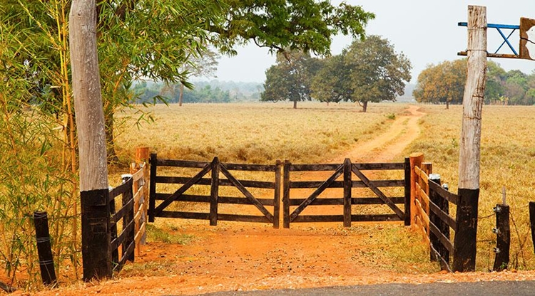 ÚLTIMO DIA: Prazo para declarar imposto sobre propriedade rural acaba hoje