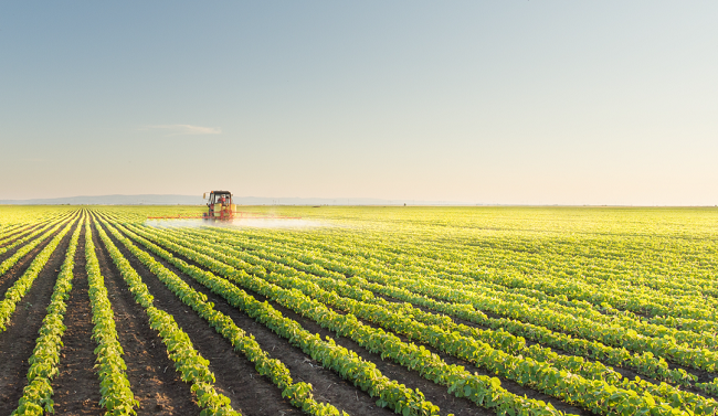 PRAZO: Começa hoje entrega da declaração de propriedade rural