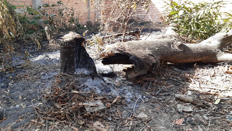 MEIO AMBIENTE: Combate a queimadas é reforçado durante a estiagem