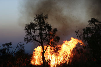 QUINTO ATO ? Protocolo de Kioto e a inapta redenção eco-ambiental