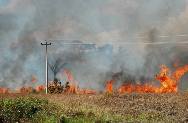 FOGO: Porto Velho, Cujubim e Nova Mamoré registram a maior parte dos incêndios em RO