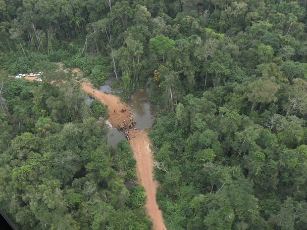 DECISÃO: Justiça determina saída de invasores de reserva florestal de Rondônia