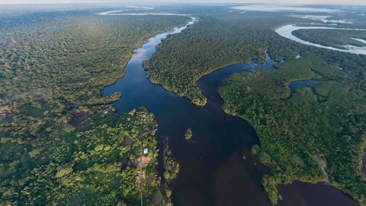 AMAZÔNIA+21: BNDES está pronto para parcerias que auxiliem no desenvolvimento sustentável 