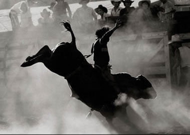 EXPOVEL - Rodeio Universitário abre programação esportiva 