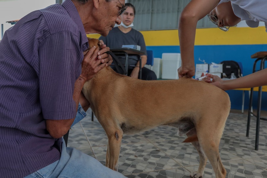 CÃES E GATOS: Vacinação antirrábica será realizada no bairro Novo nesta terça (14)