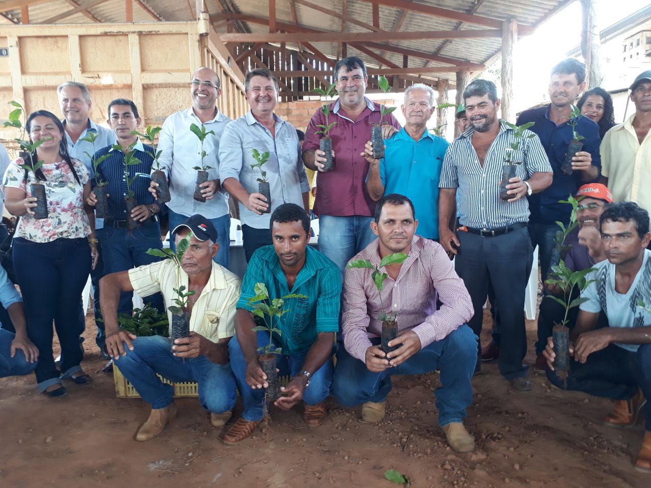 Agricultores recebem 100 mil mudas de café clonal