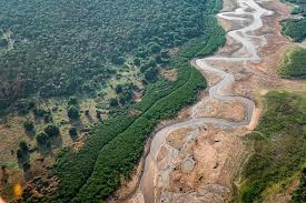 EFEITO CLIMÁTICO: El Niño deve se consolidar em maio causando alerta de seca intensa na Amazônia 