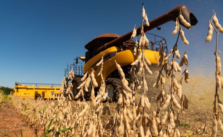 AQUECIMENTO: Brasil pode exportar até 6 mil toneladas de soja em agosto e procura aumenta