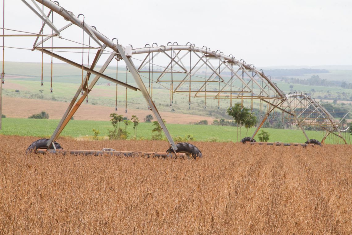 CRESCIMENTO: Valor de produção agrícola de 2018 bate recorde, com R$ 343,5 bilhões