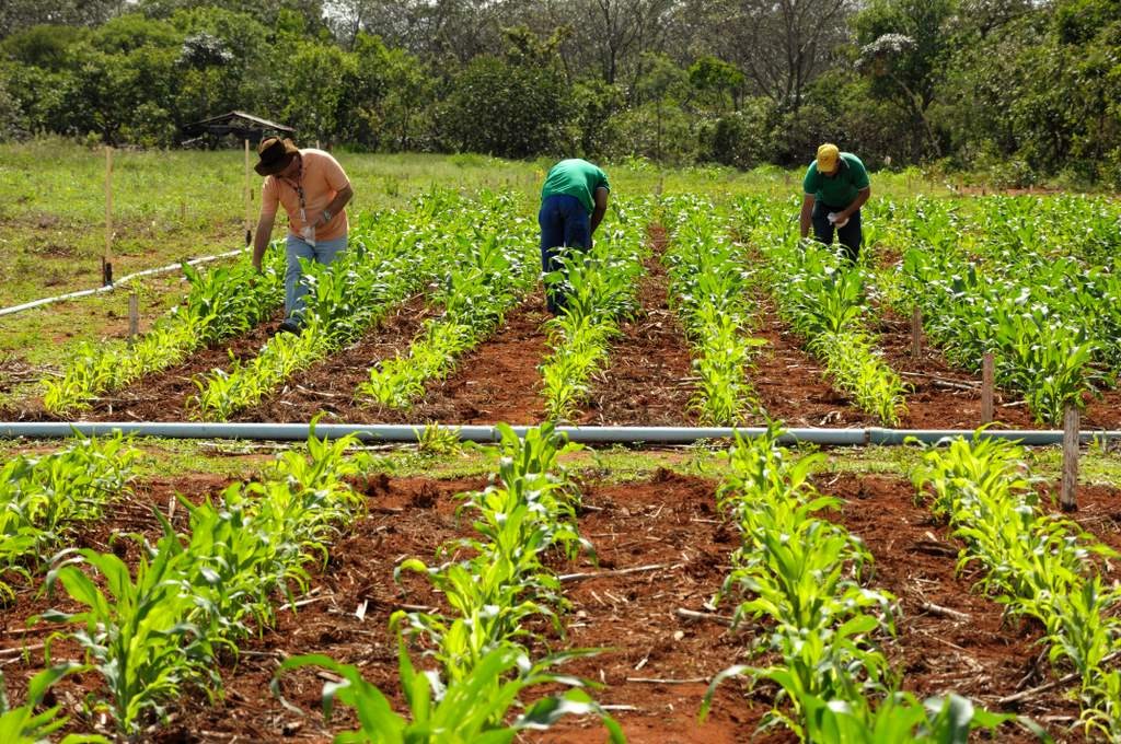 CRÉDITO RURAL: Assentados da reforma agrária ainda sem registro individual no CAR já podem acessar Pronaf