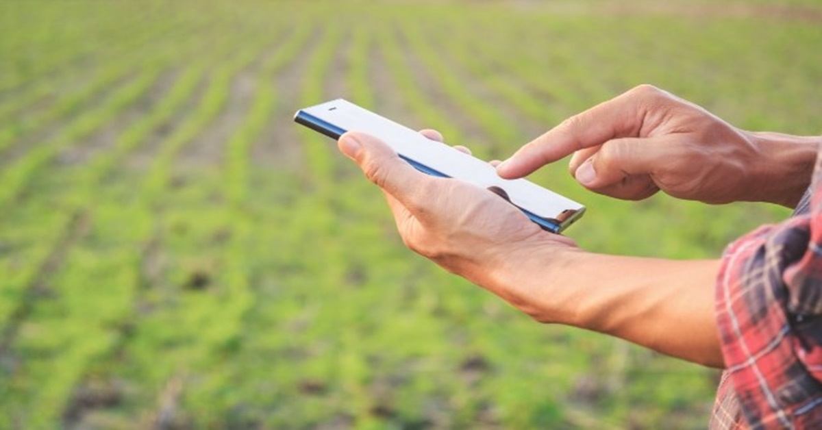 TECNOLOGIA: Uso de smartphones na agricultura é maior no Brasil do que nos EUA