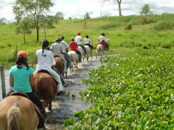 CAMPO: Cooperação para fortalecimento do turismo rural