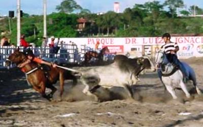 Comunidade rural de Porto Velho e Emater-ro promovem festa de vaquejada neste final de semana