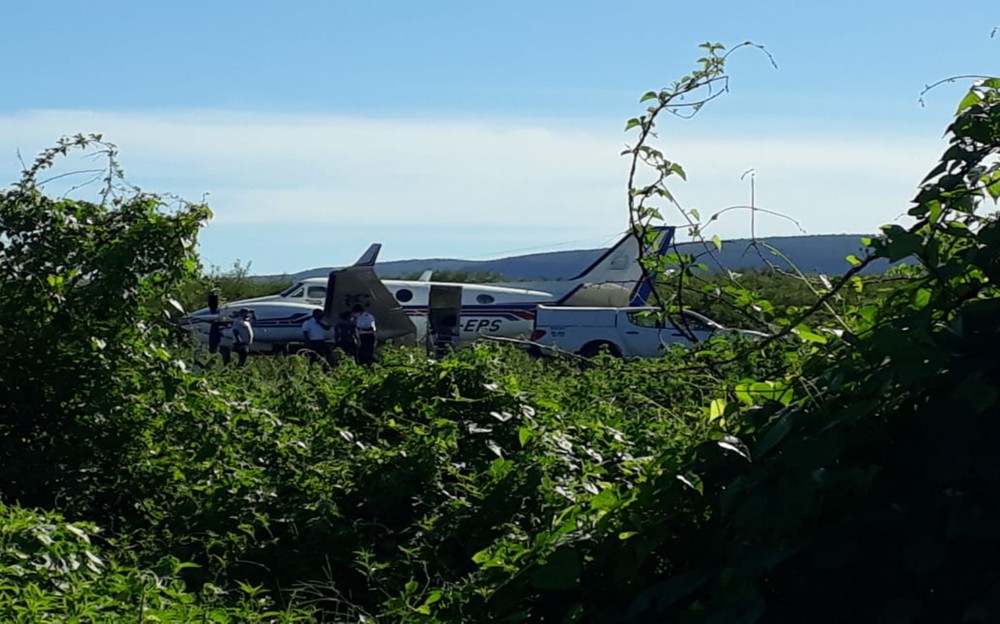 NA PISTA: Avião que transportava vacina sofre acidente ao bater em jumentos