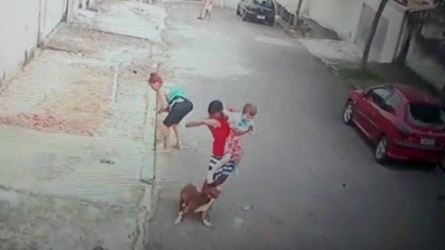 DESESPERO: Jovem salva criança de ataque de pitbull furioso; confira imagens