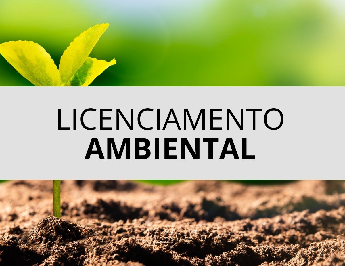 TAG Comercio e Serviço de Gesso Acortonado LTDA