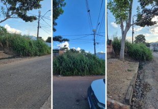 PEDIDO DE PROVIDÊNCIA:  Moradora denuncia matagal alto em terreno no bairro Aeroclube