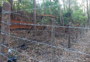 BATE-ESTACA: MPF apura denúncia de invasão em área tombada da Estrada de Ferro Madeira-Mamoré