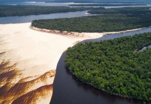 BARREIRA NATURAL: Desmate da Amazônia corta chuvas no Sul e ameaça produção de grãos do estado 