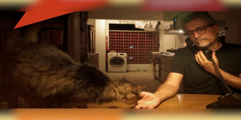 CINEMA: Cinesesc 2026 volta com sessões semanais em PVH